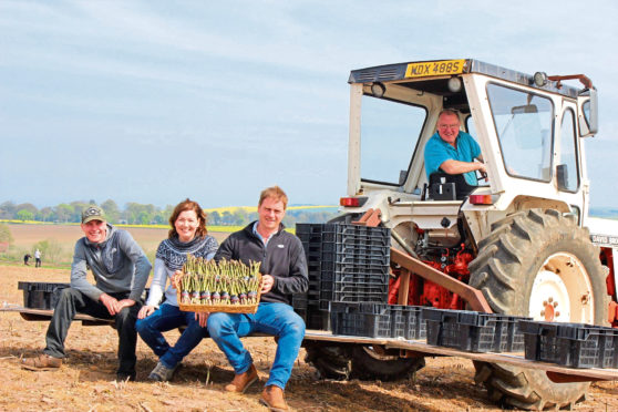 Reece McEwan, Jillian McEwan, Neil McEwan and Raymond McEwan of Myreside Farms Produce.