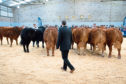 Passports for a number of Limousin bulls have been withdrawn.