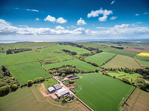 Johnston Mains Farm