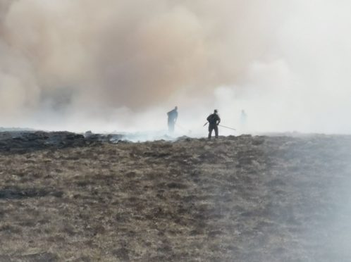 Thurso crews at the wildlife at Melvich