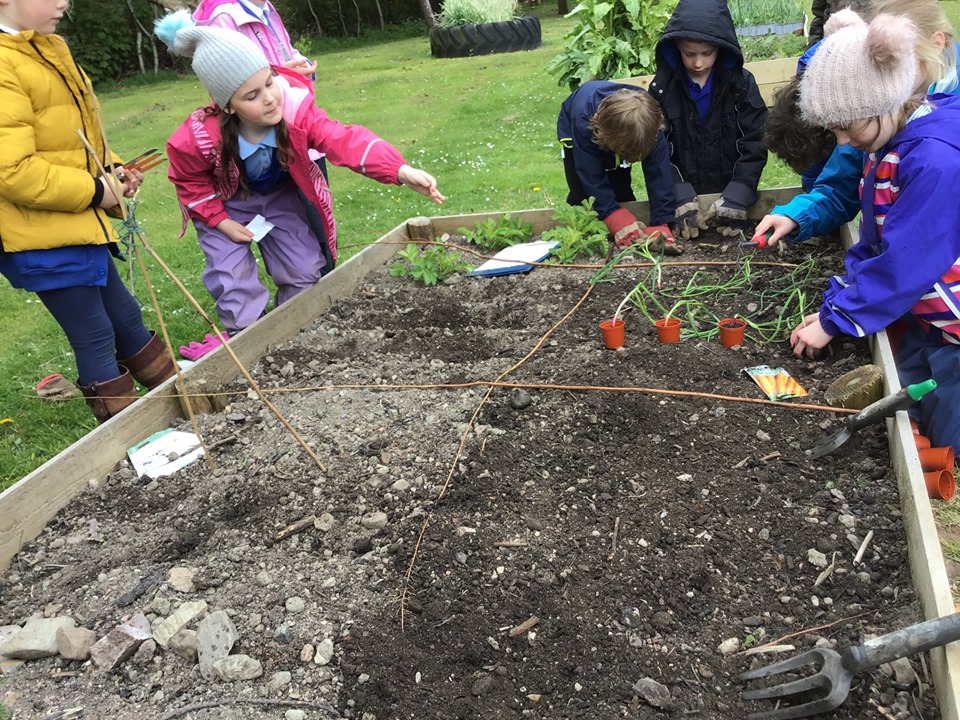 Fyvie Primary pupils learning how to take care of plants