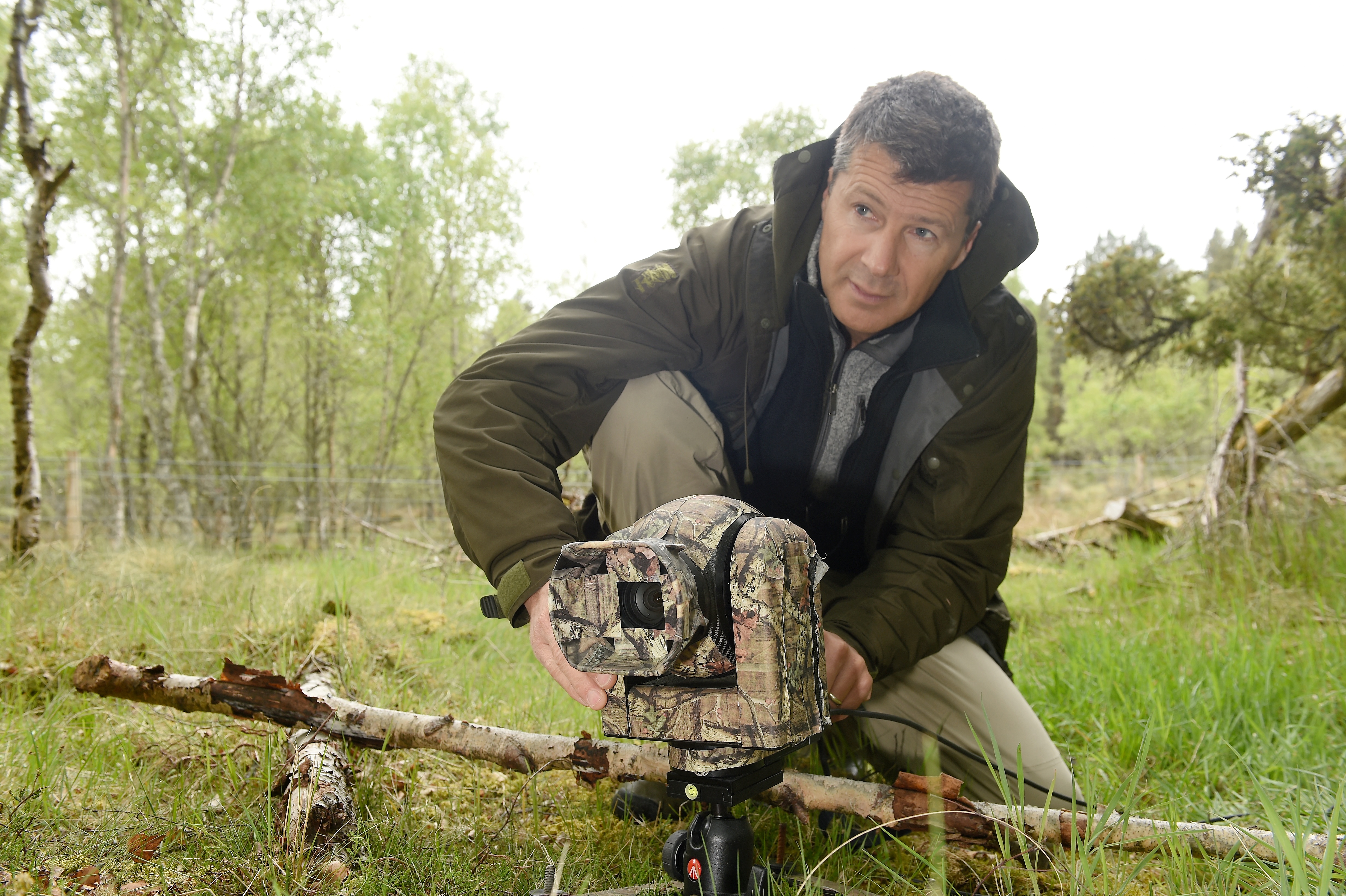Nigel Bean , a specialist wildlife cameraman with the Springwatch production close to a nest in Aberenethy Forest, Nethy Bridge. Picture by Sandy McCook