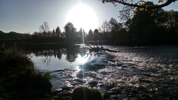 The banks of the River Don in Woodside.