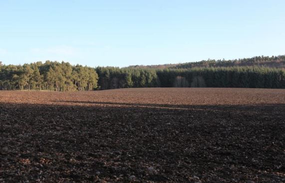 The field where the extended quarry could be built