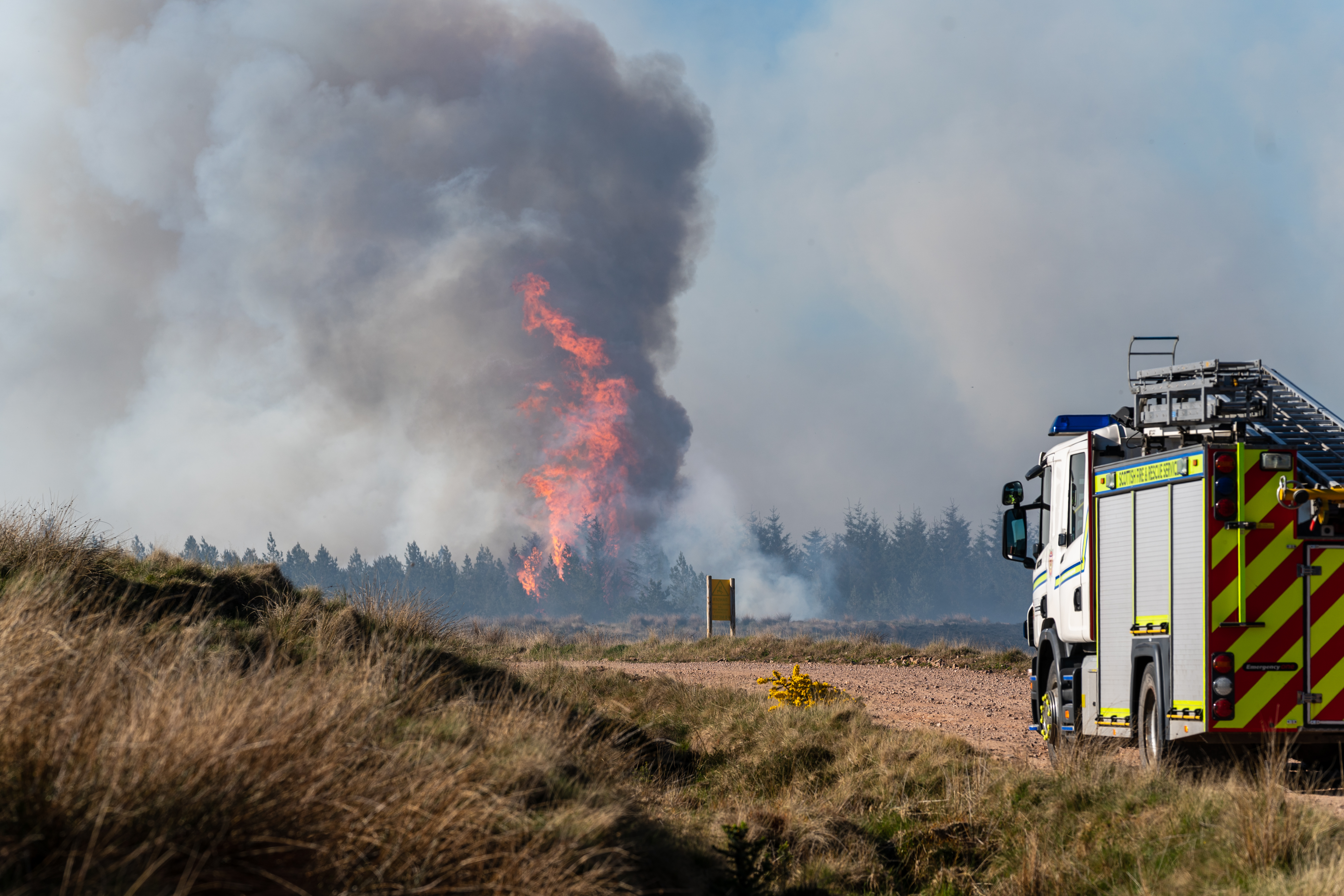 Wildfire at Dunphail, Moray.