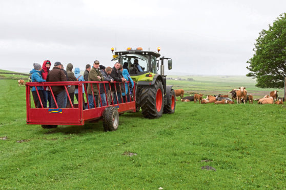 Despite the damp weather farm tours ran throught the day at Highland Sheep.