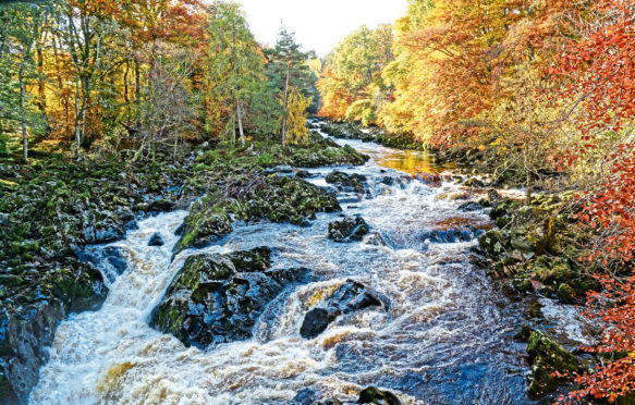 The Falls of Feugh.