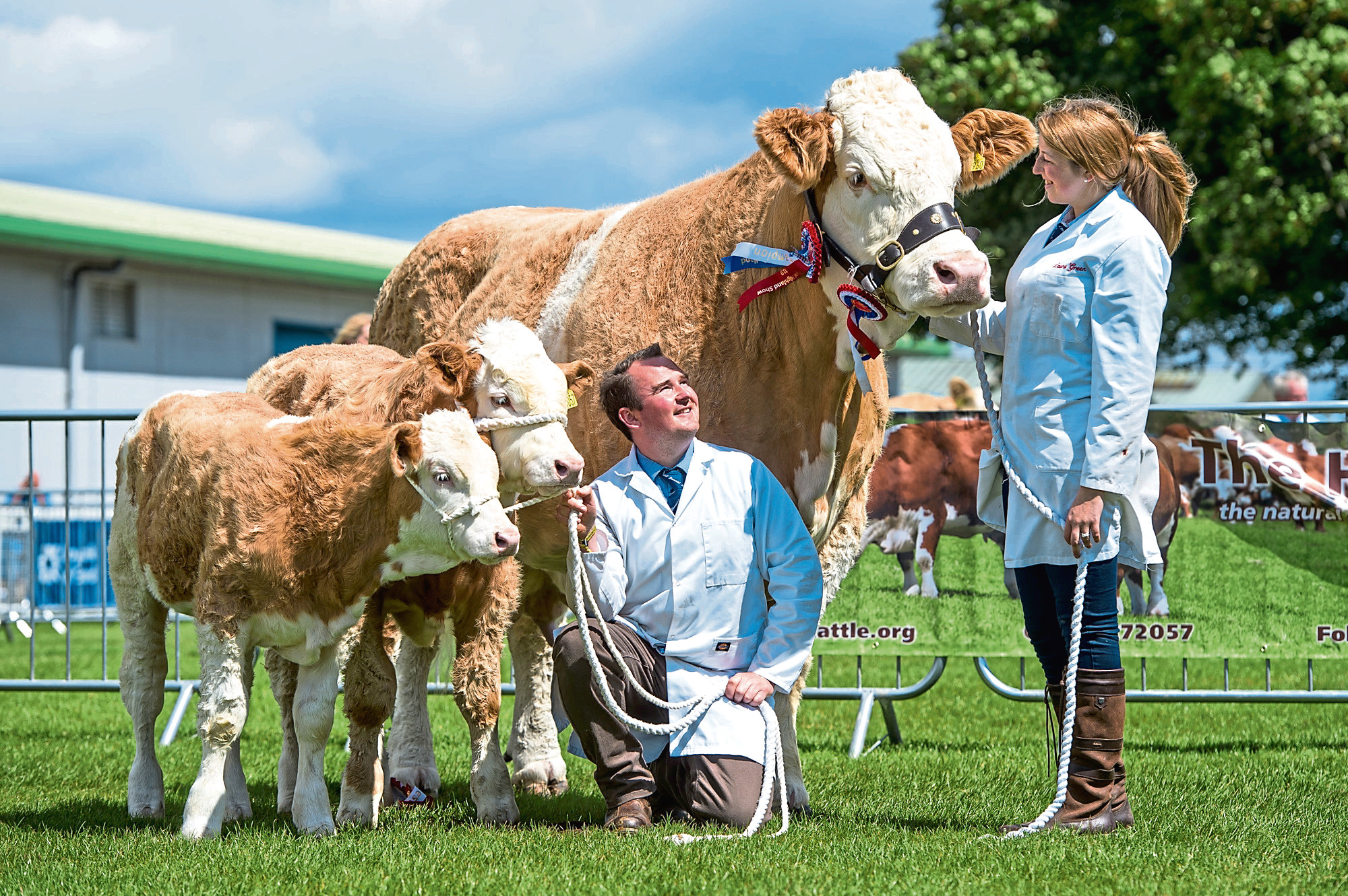 Newlyweds, Laura and Robert Beattie, with Simmental overall champion, Corskie Disco, and her twin calves.