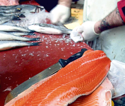 Salmon fillets on sale at a local fish market.