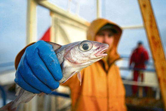 Scottish trawlermen on board the trawler