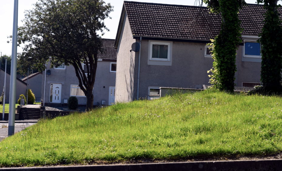 Overgrown grass in Tarbothill Road, Bridge of Don
Picture by HEATHER FOWLIE