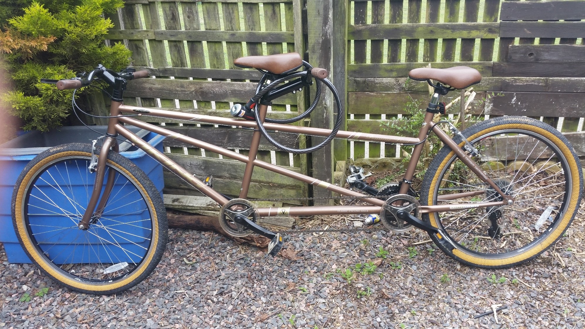 The tandem bicycle taken from Cove