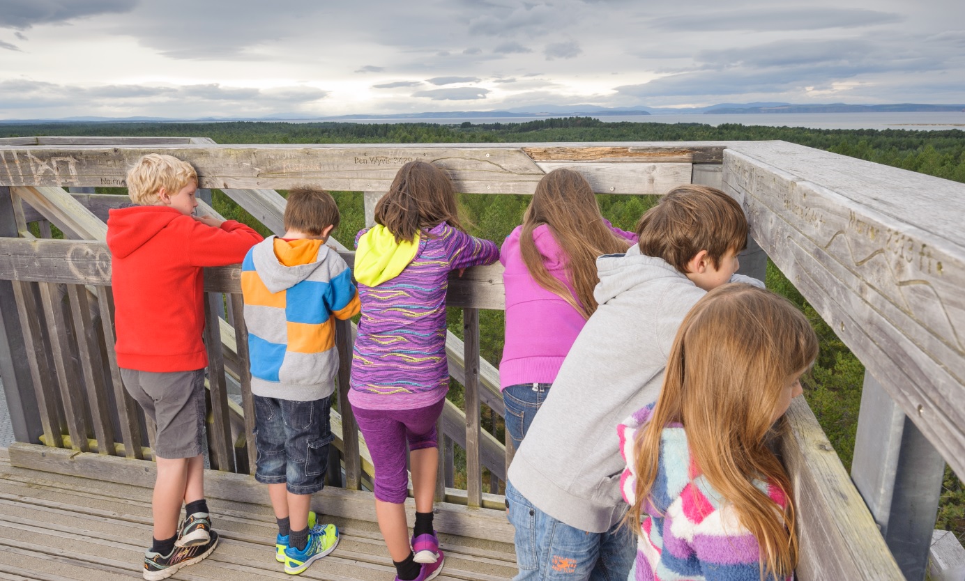 Kids enjoying the wonderful views over Culbin Forest