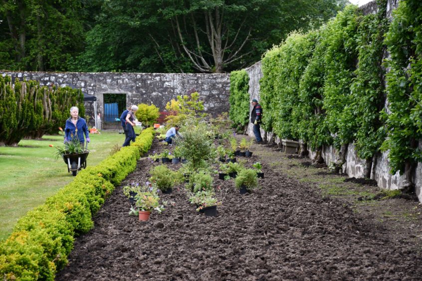 Open day this weekend at Ellon Castle Gardens