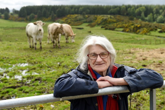 Claire Bruce with her cows. Picture by Kenny Elrick.