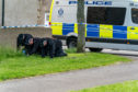 The Police are conducting a metal and fingertip search of the scene of the crime at the Doocot Park.