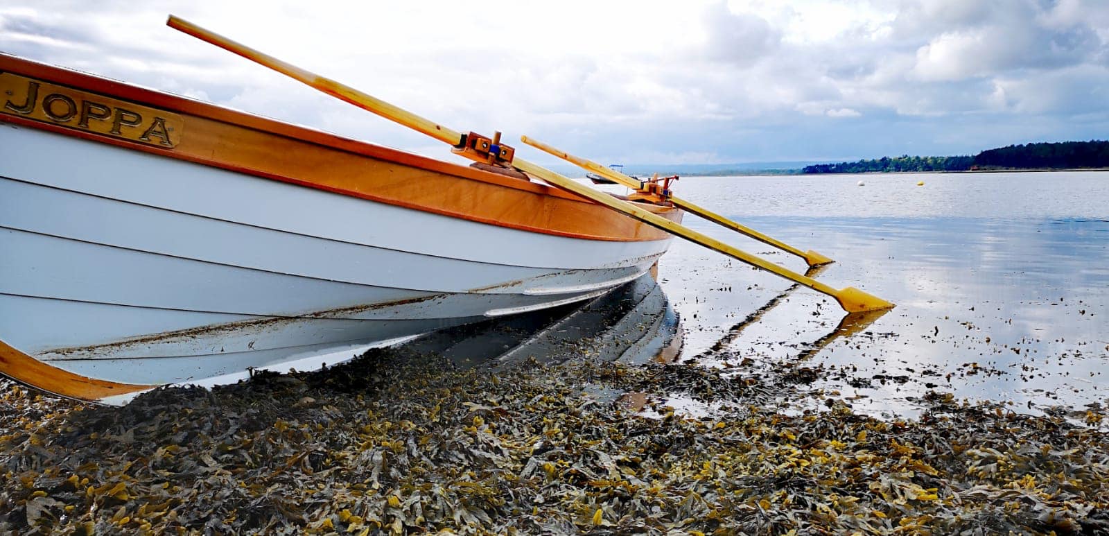 Findhorn rowing regatta takes place this weekend.