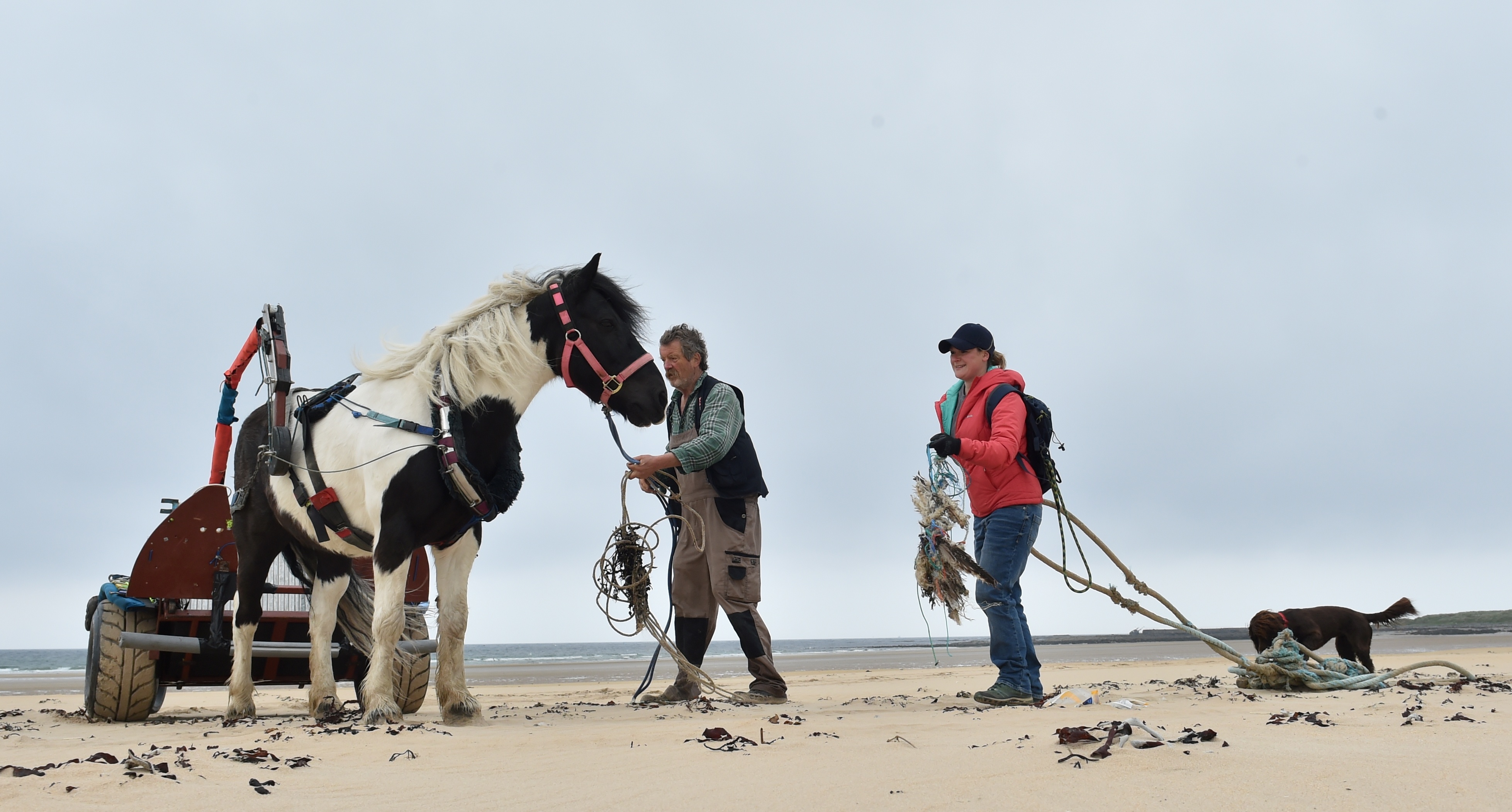 Simon Mulholland of Pony Access with his pony Obama and  Lauren Smith with dog Tattie at the Turning the Plastic Tide beach clean. Picture by Colin Rennie.