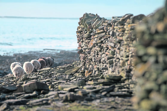 Orkneys most northerly island community, is seeking applicants for a unique role overseeing care and repair work on a historic stone dyke.