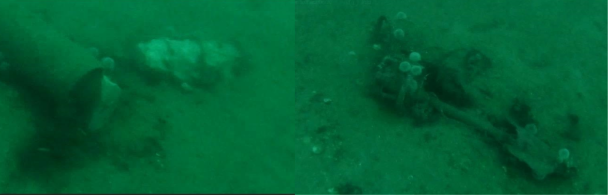 Live British Mark VIII torpedo located in Scapa Flow by Sula Diving