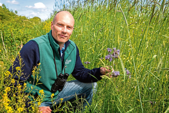 Dave Parish, head of  lowland research in Scotland for the Game & Wildlife Conservation Trust.