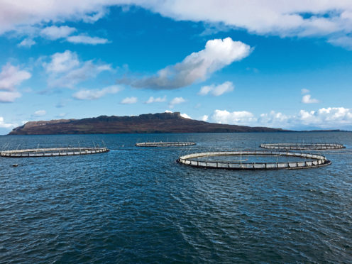 Mowi salmon farm off Muck.
Handout from Whalelikefish.