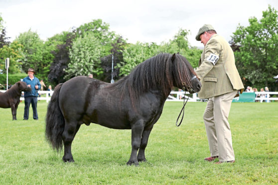 Harry Sleigh with  Wells Legand