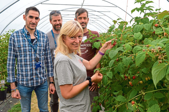 From L to R: Luca Scolari, Matt Aitkenhead (both James Hutton Institute), Nikki Jennings (James Hutton Limited) and Peter Melis (Research Centre Hoogstraten, Belgium).