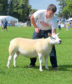 Richard Reynolds is pictured with Kenny Pratt's Texel gimmer which stood champion of champions.