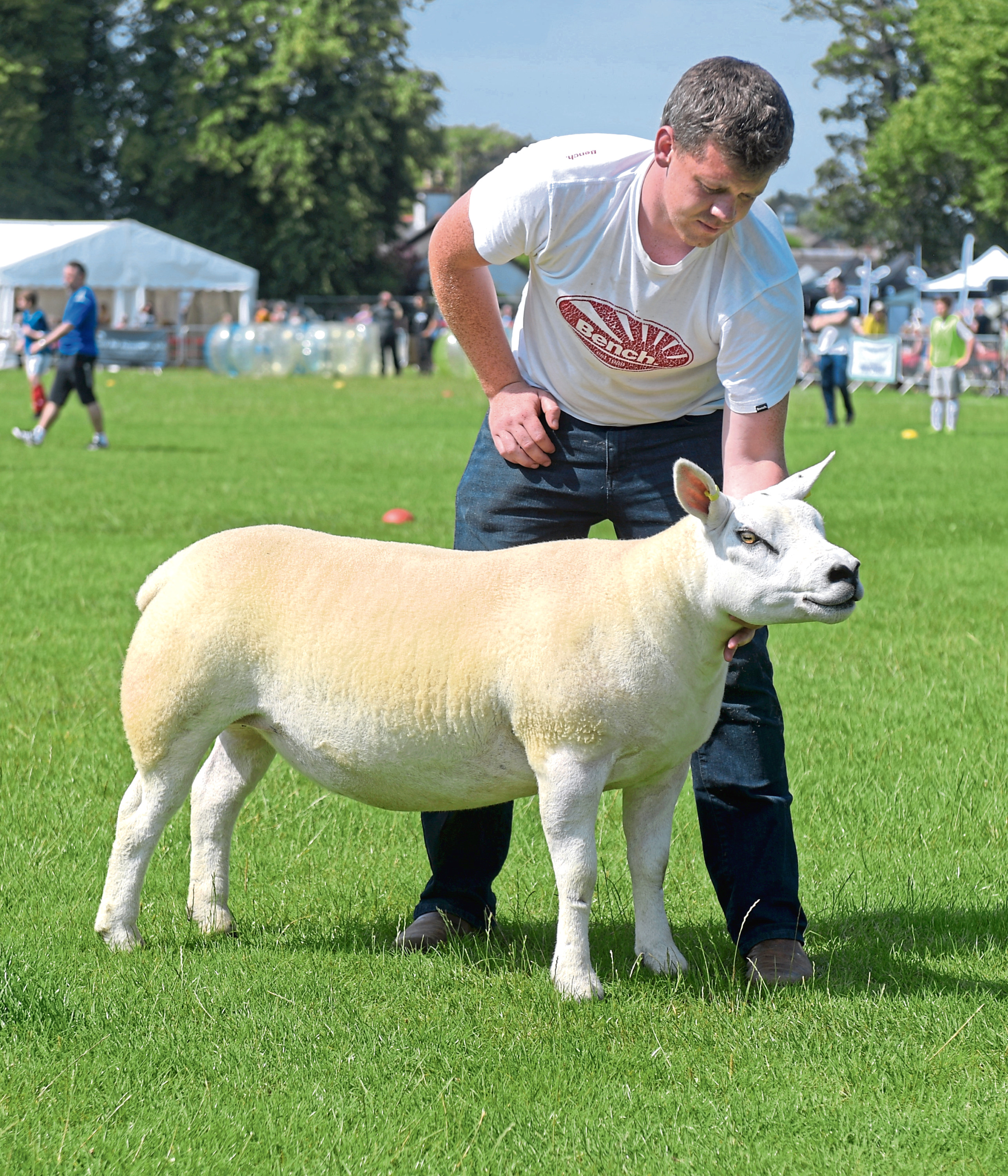 Richard Reynolds is pictured with Kenny Pratt's Texel gimmer which stood champion of champions.