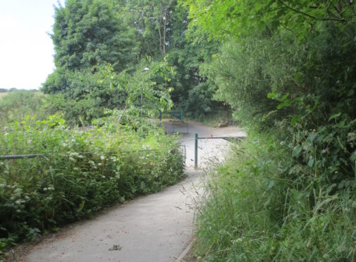 Councillors are looking at ways to improve this section of The Deeside Way.