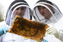 Martin Leahy and fellow young beekeeper Sean Dinnie