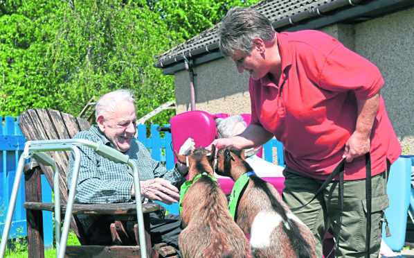 Elaine Robb is a woman who has two pygmy goats, who she takes around for therapy sessions at care homes.
Pictured is John Wilson and Elaine Robb with Bill and Ed the 7 month old goats.
Picture by Heather Fowlie