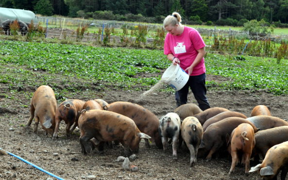 Louise Urquhart of Louise's Farm Kitchen at Milton of Auchinhove, Lumphanan, Banchory.      
Picture by Kami Thomson