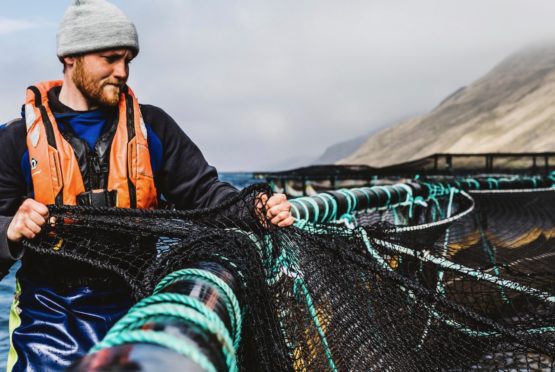 Commercial aquacutural photography for Scottish Sea Farms, Shetland.