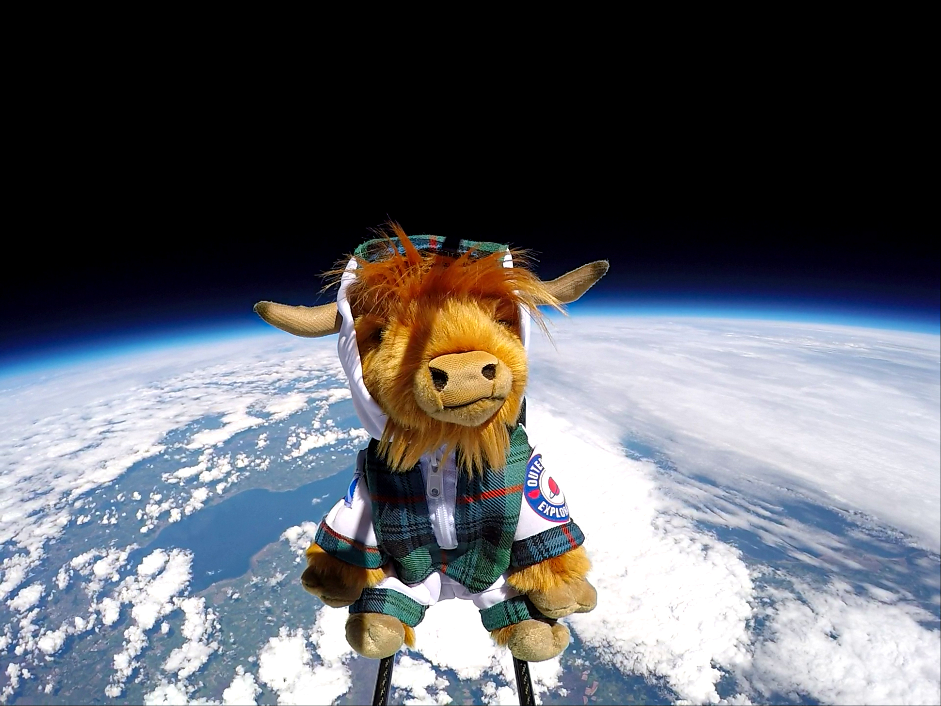 The Highland cow in space