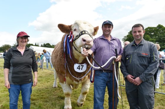 Overall Champion -  Simmental with (from left) The Smith family,  Morag, gerald and Douglas.