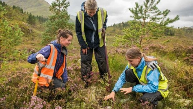 Ullapool Community Trust wants to meet with the community to discuss the ownership of Lael Forest