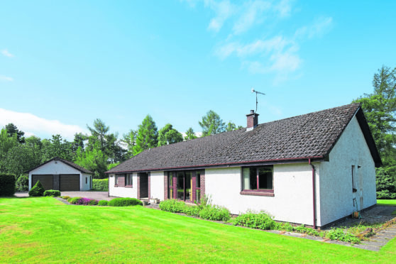 Rowan Glen, Upper Braefindon, Culbokie
Rowan Glen, Culbokie