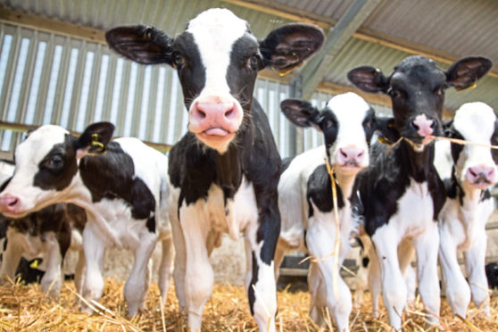 Vets hope the promotion of farm assurance schemes can help improve the welfare of animals.