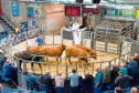 Some farmers are receiving up to £200 less per head for their beef animals, according to NFU Scotland.