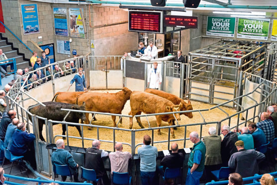 Some farmers are receiving up to £200 less per head for their beef animals, according to NFU Scotland.