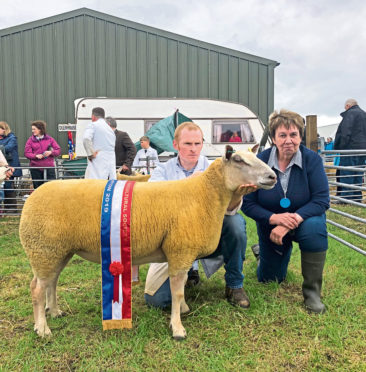 SUPREME SHEEP: The interbreed sheep champion was a home-bred Charollais gimmer, held by Keith Thomson, from Sheena Coghill, pictured on the right.