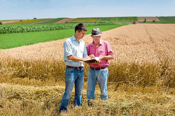 There’s much to consider when passing on the tenancy of a farm to another person