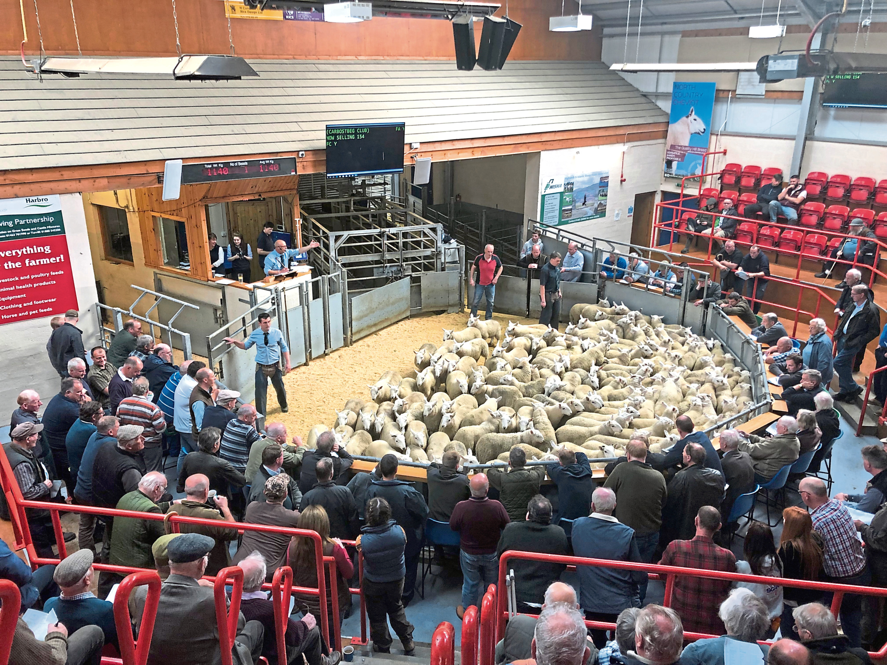 Sheep trade has improved in the past week.