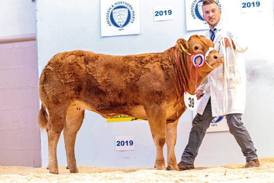 The champion from Barry Paterson sold for £4,000 to the judge.