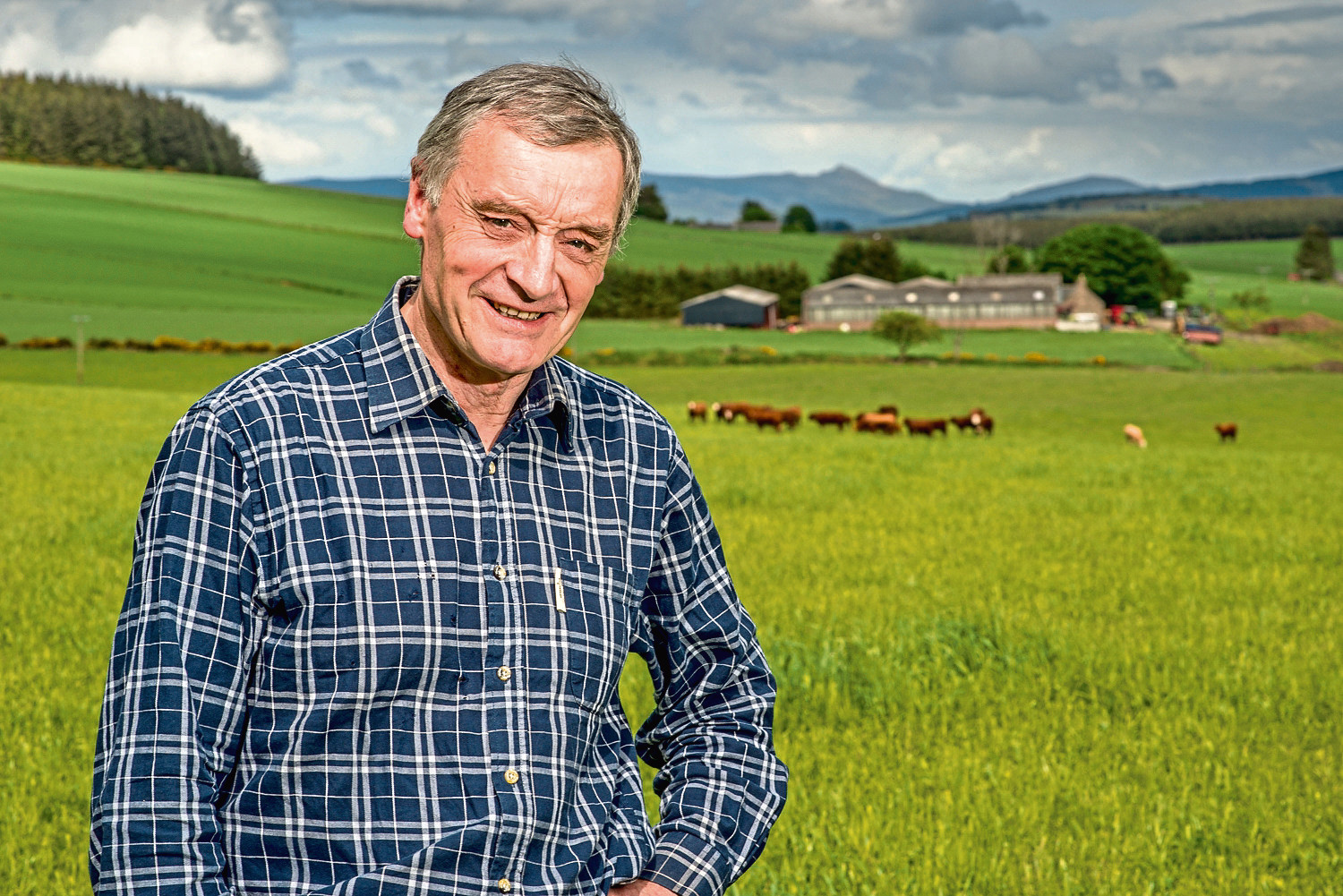 NFU Scotland vice-president Charlie Adam will not stand for re-election.