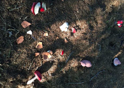 Vandals smashed apart the fairy woods