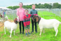 Pictured from left, Daisie the Boer Goat who won second in the adult female class, Daisie Garden, 12, Freddie Knapp, 7, Alfie Garden, 10 and Deron the Boer goat who won 1st best male. 
Picture by Heather Fowlie.