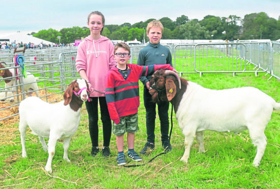 Pictured from left, Daisie the Boer Goat who won second in the adult female class, Daisie Garden, 12, Freddie Knapp, 7, Alfie Garden, 10 and Deron the Boer goat who won 1st best male. 
Picture by Heather Fowlie.